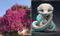 Người thuộc 3 con giáp này trồng hoa giấy sẽ như 'hổ mọc thêm cánh', tài lộc đổ về tới tấp