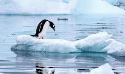 Bên dưới lớp băng Nam Cực có gì? Các nhà khoa học: Việc phát hiện ở độ sâu vượt quá 2.000 mét là điều đáng phải cảnh giác!