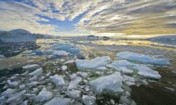 Tất cả sông băng trên Trái đất đang tan chảy và nhân loại có thể phải đối mặt với những thay đổi lớn