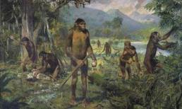 Bước quan trọng nào để loài vượn cổ đại 'từ vượn trở thành người'? Không phải bằng lửa và dụng cụ, mà bằng bước này