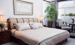 Ba thứ này thường được đặt trong phòng ngủ ở nhà, sống càng lâu thì càng giàu có