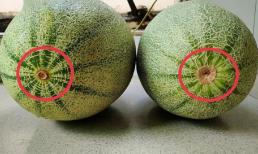 Hôm nay tôi mới biết dưa lưới có ngọt hay không, chỉ cần nhìn vào đây! Phương pháp chọn mua của ông già trồng trái cây thực sự hiệu quả