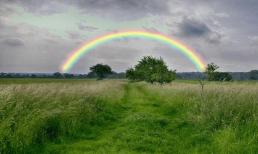 Cầu vồng được hình thành như thế nào? 