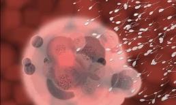 Một bạn nữ trẻ độc thân hỏi: Khi yêu, con trai có đi tiểu và xuất tinh cùng lúc không?