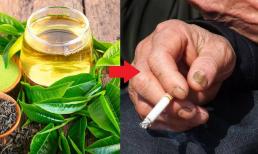 Những người thường xuyên hút thuốc nên để 3 loại thực phẩm xung quanh mình để thải chất độc có trong khói thuốc và giúp phổi dễ chịu hơn