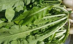 Lá củ cải được mệnh danh là “vua canxi” của các loại thực phẩm! Tại sao lại ít người ăn?