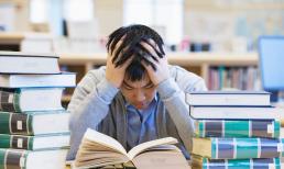 Thời điểm hiện tại, ngoài tiếng Anh thì ngoại ngữ nào là lựa chọn thông minh và thiết thực nhất?