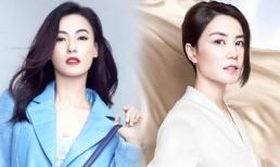 Trương Bá Chi công khai thách thức Vương Phi, 'thiên hậu làng nhạc' là bên thứ ba giữa họ, Tạ Đình Phong sẽ đưa ra lựa chọn nào? 