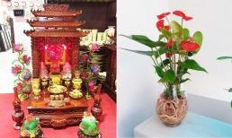 Để túi tiền rủng rỉnh, vận may ùa đến, đặt 3 cây thủy sinh lên ban thờ Thần Tài sẽ đem đến phúc lộc cho gia chủ