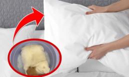 Gối ngủ bị xẹp lép, chỉ mẹo đơn giản để giúp phồng lại như mới