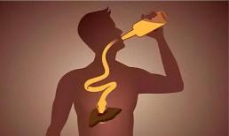 Nghiên cứu mới nhất: Thuốc nấm thần chữa chứng nghiện rượu và gần 50% đối tượng thử nghiệm đã cai rượu thành công!