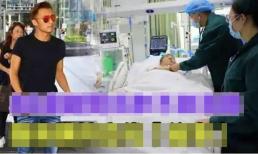 Gia đình Tạ Đình Phong và Trương Bá Chi đi nghỉ ở Úc, Tạ Hiền bị đột quy, bệnh nặng đến mức thông báo về tang lễ của mình?