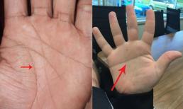 Người có dấu hiệu này ở lòng bàn tay biết ngay Thần Tài đánh dấu, cả đời không lo nghèo khó