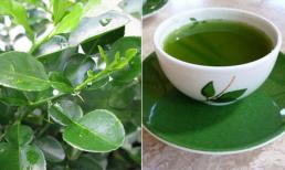 Loại lá ở trong vườn người Việt Nam hay có nhưng nước ngoài bán giá 6 triệu đồng/kg, vừa chữa ho lại mát gan