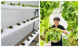 'MC giàu nhất Việt Nam' khiến dân tình 'mướt mắt' với vườn rau thủy canh 'có tất tần tật'