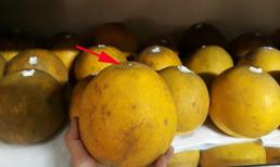 Cách trữ bưởi ăn Tết không héo không thối, bưởi xuống nước còn tăng vị ngọt
