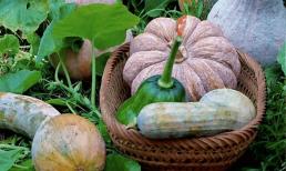 Món ăn này chứa đầy “báu vật”, nhuận phổi, dưỡng dạ dày, lại rẻ, tiếc là nhiều người không biết ăn