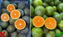 Đang vào mùa cam sành, nhìn vào vị trí này chọn được cam chuẩn ngon, mọng nước