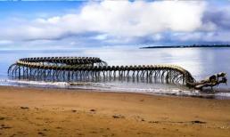 Con rắn lớn nhất thế giới to cỡ nào? Ở Rừng mưa nhiệt đới nó nặng 1 tấn và có thể ăn cả thịt cá sấu