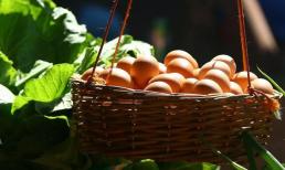 Trứng nhỏ có bổ dưỡng hơn trứng lớn không? Người nông dân bật mí bí quyết, đừng mua mù quáng sau khi đọc xong!
