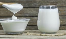 Sữa hay sữa chua, cái nào bổ sung canxi nhiều hơn? Cái nào có giá trị dinh dưỡng cao hơn? Bài viết này sẽ làm rõ 