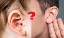Trẻ tai to hay nhỏ sẽ thông minh hơn? Khoa học đã đưa ra chính xác câu trả lời, phụ huynh kiểm tra ngay 