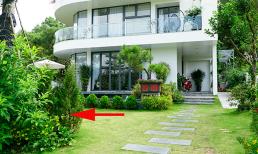 Top 7 kiểu cây cảnh càng xanh tốt càng hao tài tốn của, họa chồng họa, gia chủ phải điều chỉnh ngay 