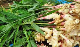 Có một loại củ rất cần trong ngày trời lạnh, người Việt 'nhổ bỏ không hết' nhưng nước ngoài bán giá gần 1 triệu/kg