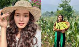 Khám phá nhà vườn rộng 8000m2 của nữ ca sĩ trẻ nhất được phong NSND - Phương Thảo 