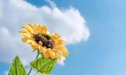 Khi ai đó không tôn trọng bạn, đừng tranh cãi hay nổi giận, bởi người thông minh “không tranh cãi với kẻ ngu” mà sẽ làm 2 điều này