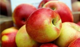 4 loại trái cây bệnh tiểu đường sợ nhất, ăn thường xuyên một chút để ổn định lượng đường trong máu, tốt hơn insulin