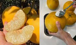 Mẹo giúp bảo quản bưởi Diễn trong vài tháng, ăn vẫn ngon và mọng nước, rất dễ ai cũng có thể làm được!