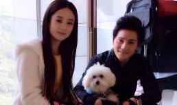 Triệu Lệ Dĩnh chia tay bạn trai doanh nhân giàu có, kết thúc mối tình ngắn ngủi?