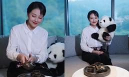 Tiết lộ hình ảnh cuối cùng của Châu Hải My trước khi qua đời!