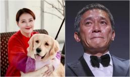 Các ngôi sao chia buồn về cái chết của Châu Hải My, Lương Triều Vỹ nói một câu thực sự cảm động