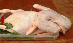 Thịt vịt có phải là “chất tăng tốc” ung thư? Bác sĩ: Đây mới là 4 điều cần cho vào danh sách đen