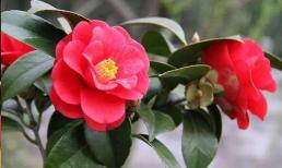 Khi về già đừng có xích mích với ba người này, nếu không cuộc sống của bạn sẽ rất khó khăn