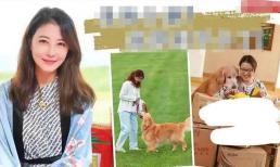 6 sự thật về Châu Hải My khi còn sống: Bị quấy rối trên phim trường; Nhậm Đạt Hoa nói không dám 'chạm mạnh' vào người cô