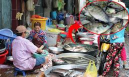 Ở chợ Việt có hai loại cá là vựa collagen và canxi được thế giới ca ngợi, gặp nhớ mua 
