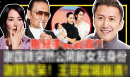 Vì cháu trai, Tạ Hiền thúc giục Trương Bá Chi và Tạ Đình Phong tái hôn, trong khi Vương Phi lại vô danh và đau khổ