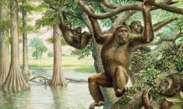 Con người không thể tự nhiên xuất hiện, vậy con người đầu tiên trên thế giới đã ra đời như thế nào?