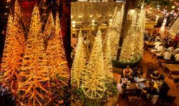 Cây thông làm bằng tre độc đáo sáng bừng không gian, ai nhìn cũng thích 