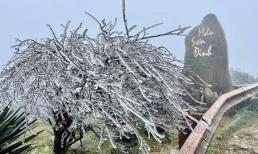 Vì sao Đỉnh Mẫu Sơn lại là nơi có tuyết và lạnh nhất Việt Nam?