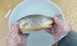 Mình mới biết cá rã đông không thể ngâm trong nước, bạn nhớ mẹo này nhé, 5 phút sẽ rã đông và trông như cá tươi