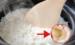 Nấu cơm vào mùa đông nhớ cho thêm thứ này, cơm ngon và dinh dưỡng gấp bội, không biết quả là thiếu sót lớn