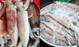 Dân vùng biển chỉ cách phân biệt mực tươi và mực đông lạnh cực đơn giản
