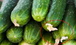 Mua dưa chuột chọn quả còn hoa ở rốn là sai lầm, mẹo chọn dưa chuột không sử dụng thuốc tăng trưởng