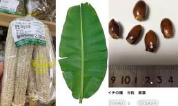 Ở Việt Nam 5 thứ này 'cho không ai lấy' nhưng lại được bán với giá cao ở nước ngoài 