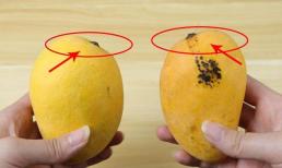 Xoài đực hay xoài cái ngon hơn? Người bán hoa quả tiết lộ mẹo giúp bạn dễ dàng mua được xoài chất lượng