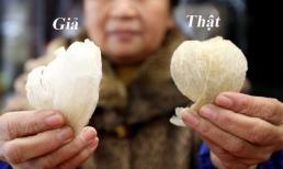 Phân biệt tổ yến xịn hay giả cứ nhìn điểm này, kinh nghiệm từ người nuôi yến 